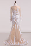 2024 Vestidos de novia Bateau Mermaid / Trumpet Tulle con apliques